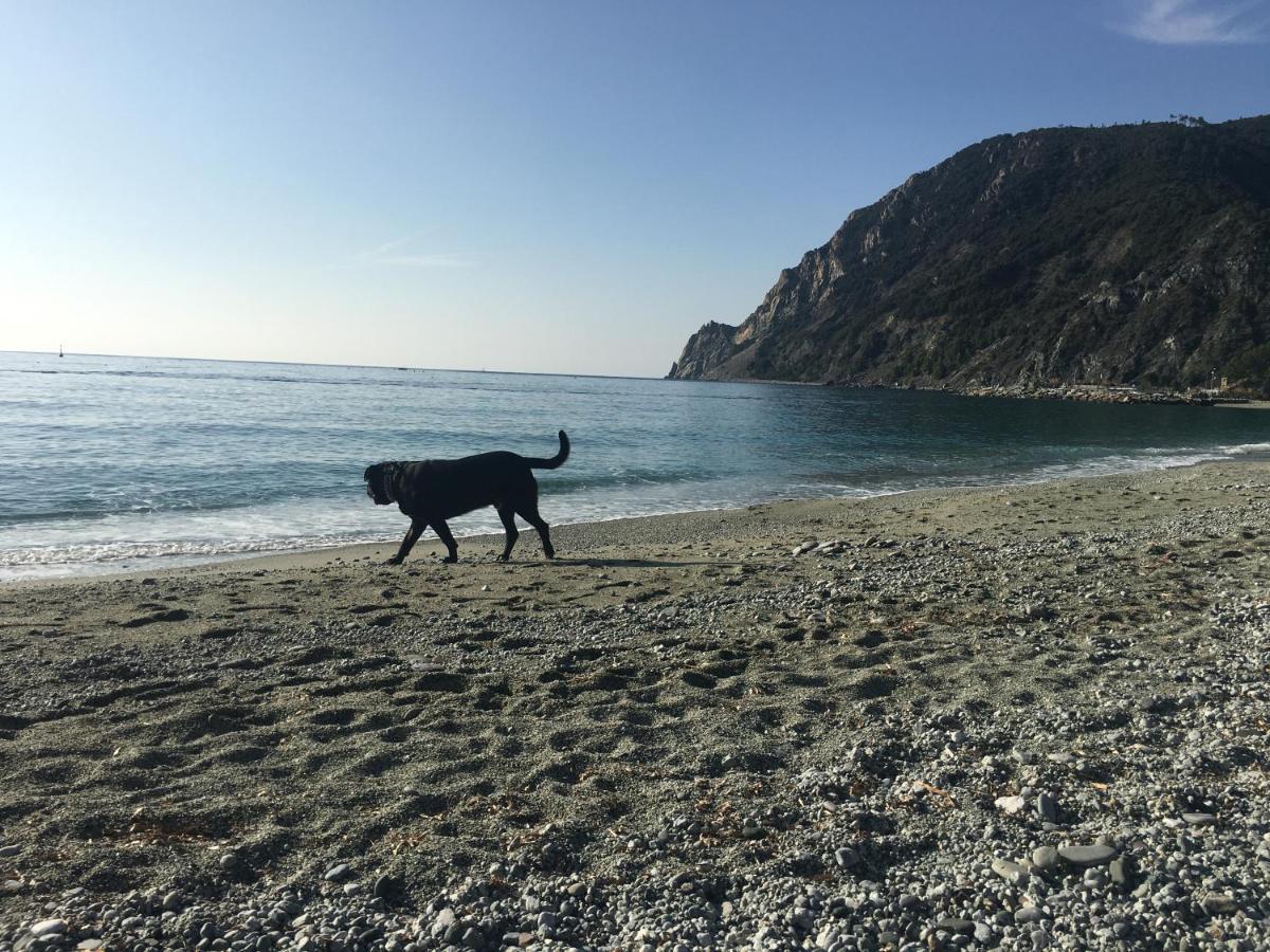 Апартаменты Le Cinque Vele ***** Cinque Terre Монтероссо-аль-Маре Экстерьер фото