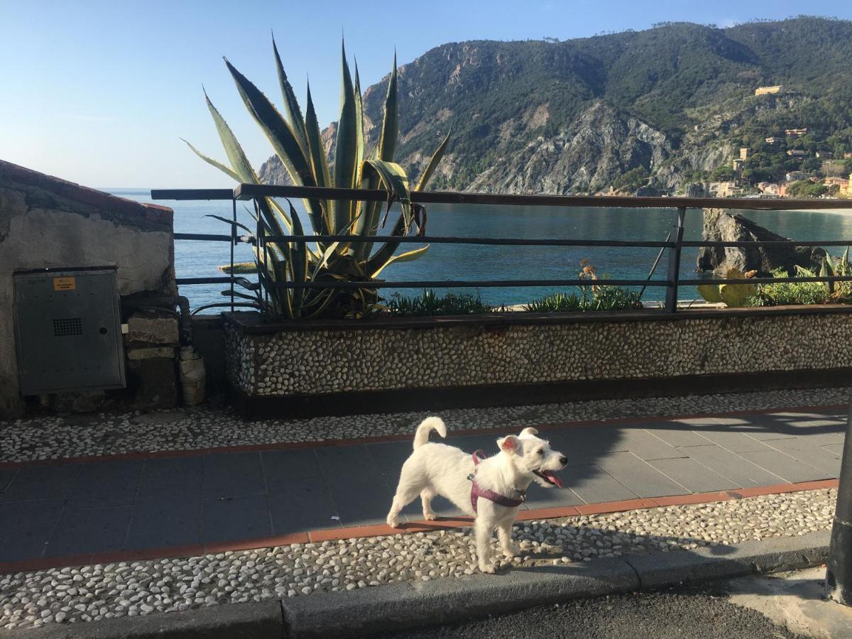 Апартаменты Le Cinque Vele ***** Cinque Terre Монтероссо-аль-Маре Экстерьер фото